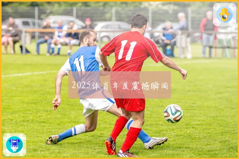 2025体育年度震撼瞬间