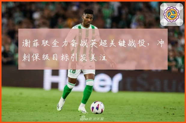 谢菲联全力备战英超关键战役，冲刺保级目标引发关注